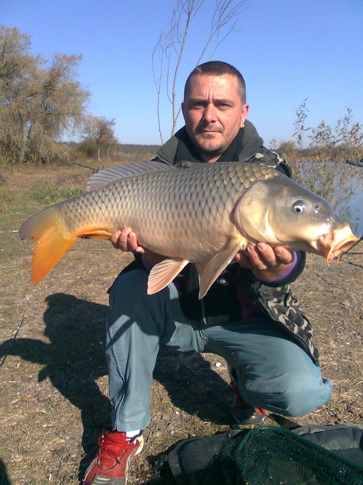 fishing carp - imagine0014.jpg